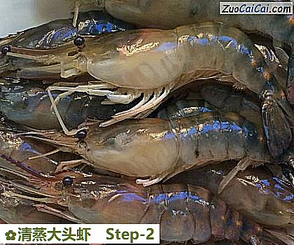 清蒸大头虾做法第二步骤