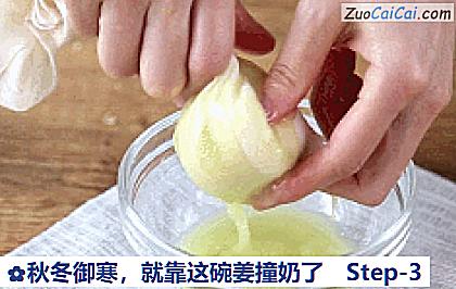 秋冬御寒，就靠这碗姜撞奶了做法第三步骤