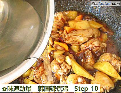 味道劲爆—韩国辣煮鸡做法第十步骤