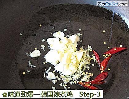 味道劲爆—韩国辣煮鸡做法第三步骤