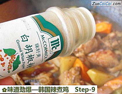 味道劲爆—韩国辣煮鸡做法第九步骤