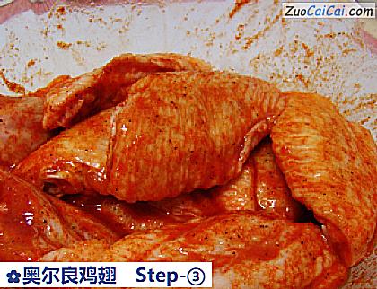 奥尔良鸡翅做法第三步骤