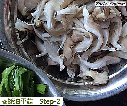 蚝油平菇做法第二步骤