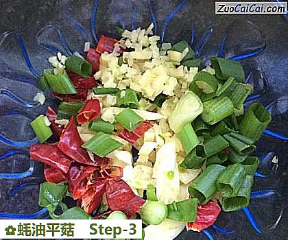 蚝油平菇做法第三步骤