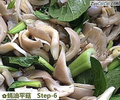 蚝油平菇做法第六步骤