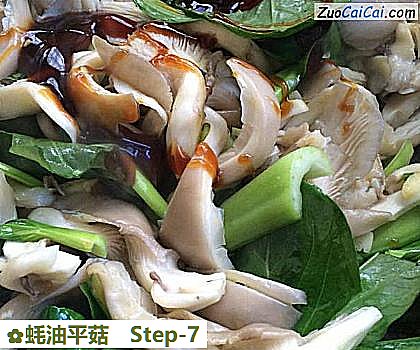 蚝油平菇做法第七步骤