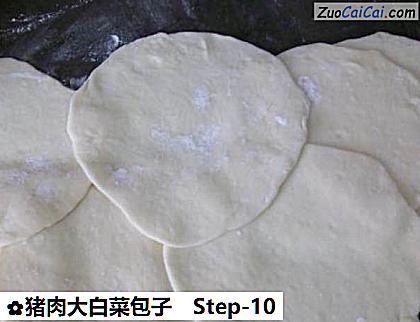 猪肉大白菜包子做法第十步骤
