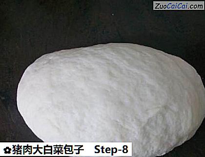 猪肉大白菜包子做法第八步骤
