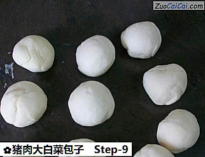 猪肉大白菜包子做法第九步骤