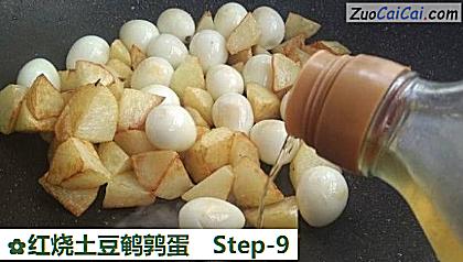 红烧土豆鹌鹑蛋做法第九步骤