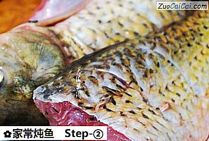家常炖鱼做法第二步骤
