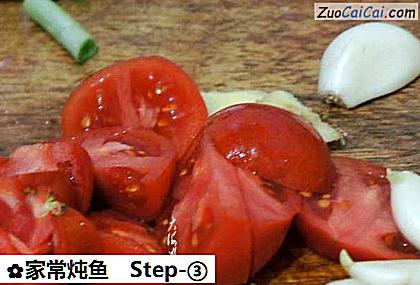 家常炖鱼做法第三步骤