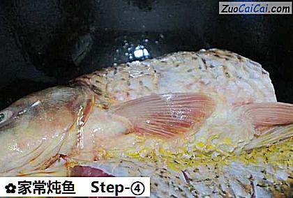 家常炖鱼做法第四步骤