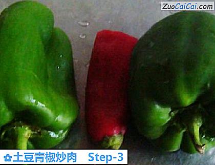 土豆青椒炒肉做法第三步骤