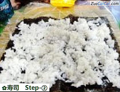 寿司做法第二步骤