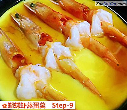 蝴蝶虾蒸蛋羹做法第九步骤