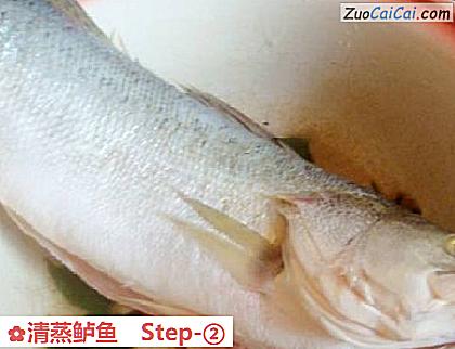 清蒸鲈鱼做法第二步骤