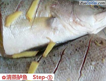 清蒸鲈鱼做法第五步骤