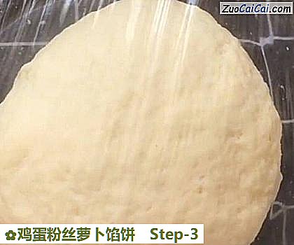 鸡蛋粉丝萝卜馅饼做法第三步骤