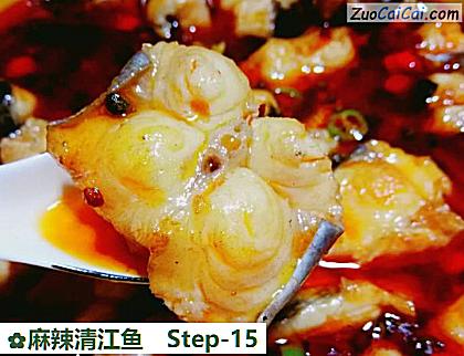 麻辣清江鱼做法第十五步骤