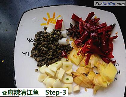 麻辣清江鱼做法第三步骤
