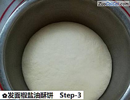 发面椒盐油酥饼做法第三步骤