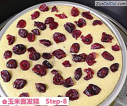 玉米面发糕做法第八步骤