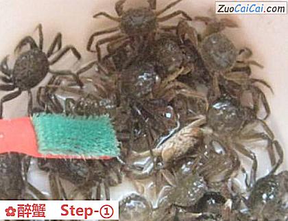 醉蟹做法第一步骤
