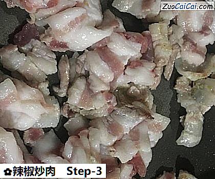 辣椒炒肉做法第三步骤