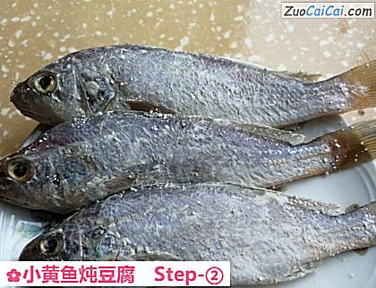 小黄鱼炖豆腐做法第二步骤