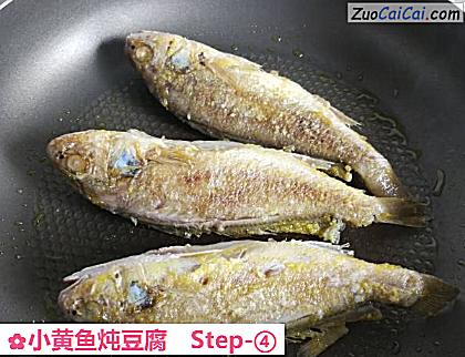 小黄鱼炖豆腐做法第四步骤