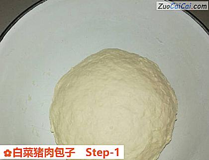 白菜猪肉包子做法第一步骤