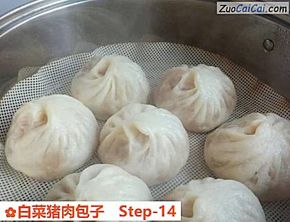 白菜猪肉包子做法第十四步骤