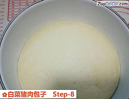 白菜猪肉包子做法第八步骤