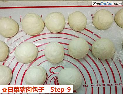 白菜猪肉包子做法第九步骤