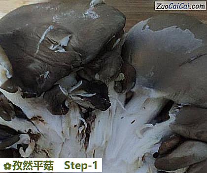 孜然平菇做法第一步骤