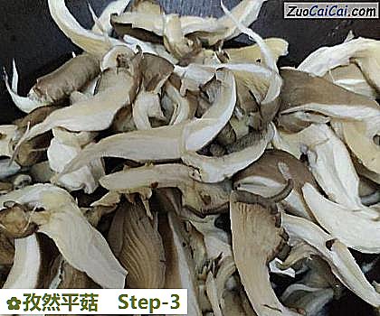 孜然平菇做法第三步骤