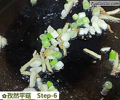 孜然平菇做法第六步骤