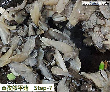 孜然平菇做法第七步骤