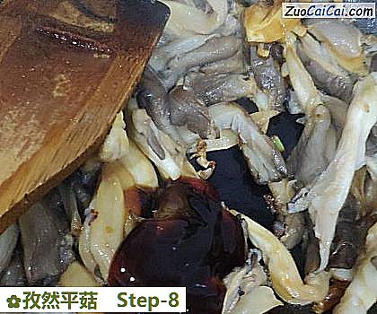 孜然平菇做法第八步骤