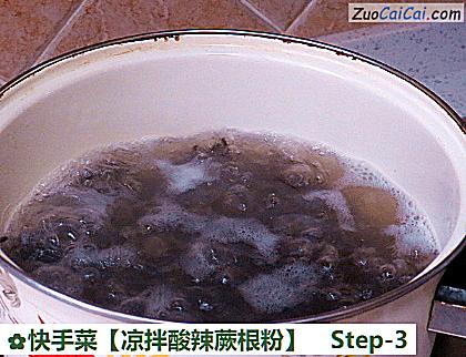 凉拌酸辣蕨根粉做法第三步骤