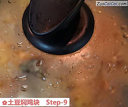 土豆焖鸡块做法第九步骤