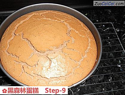 黑森林蛋糕做法第九步骤