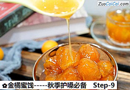 金橘蜜饯-秋季护嗓必备做法第九步骤