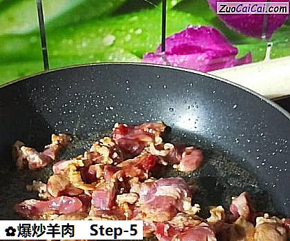 爆炒羊肉做法第五步骤