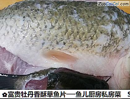 富贵牡丹香酥草鱼片──鱼儿厨房私房菜做法第一步骤