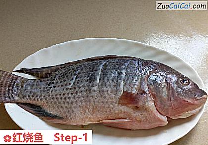 红烧鱼做法第一步骤