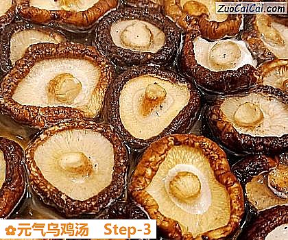 元气乌鸡汤做法第三步骤