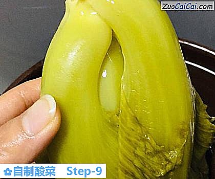 自制酸菜成品图1