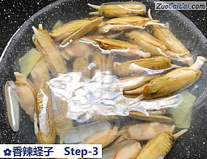 香辣蛏子做法第三步骤